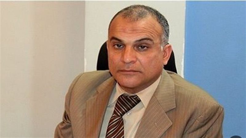 عمرو هاشم ربيع، فيتو