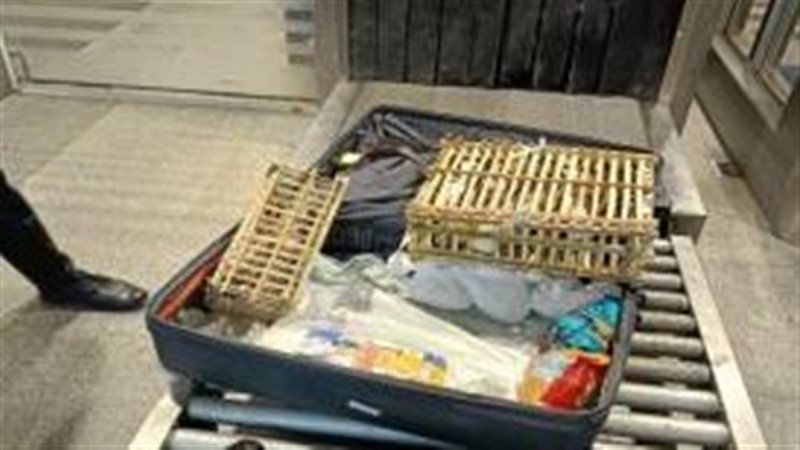 إحباط محاولة تهريب