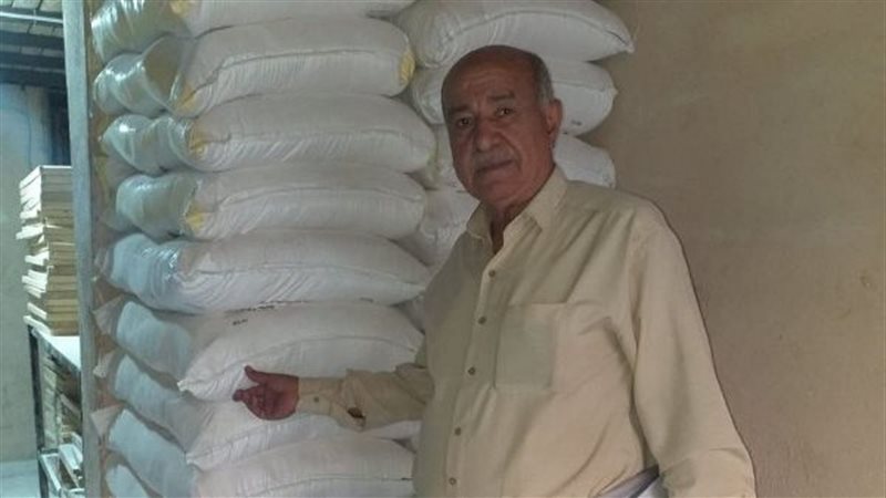 تحرير 296 محضرا تموينيا