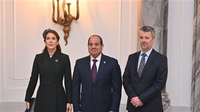  نص كلمة الرئيس السيسي في العشاء الرسمي لملك الدنمارك