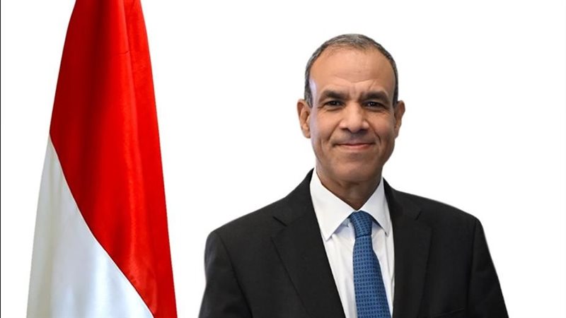 بدر عبد العاطى وزير