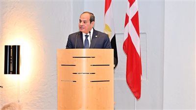  السيسي يؤكد أهمية تطوير العلاقات مع الدنمارك في مختلف المجالات 