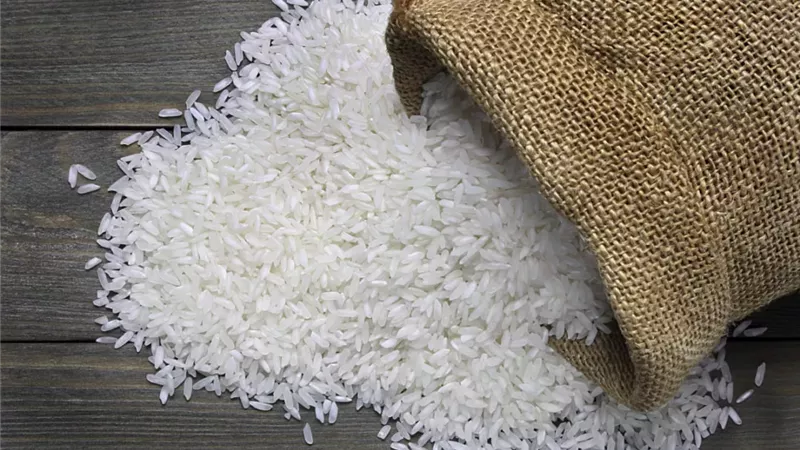سعر الأرز