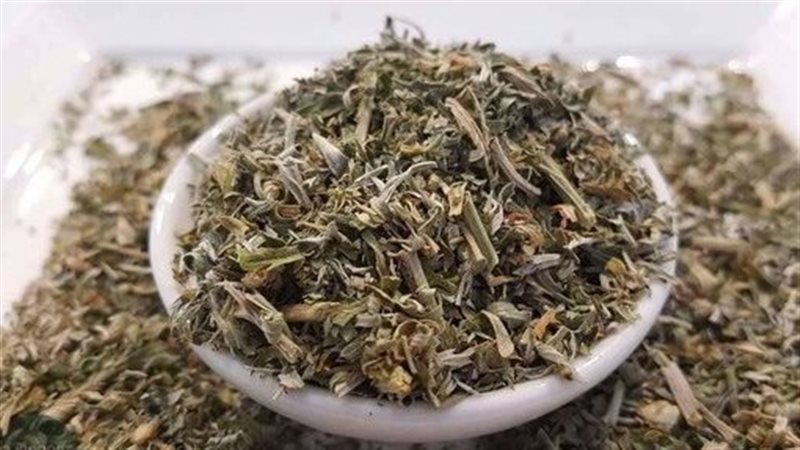 فوائد الشيح