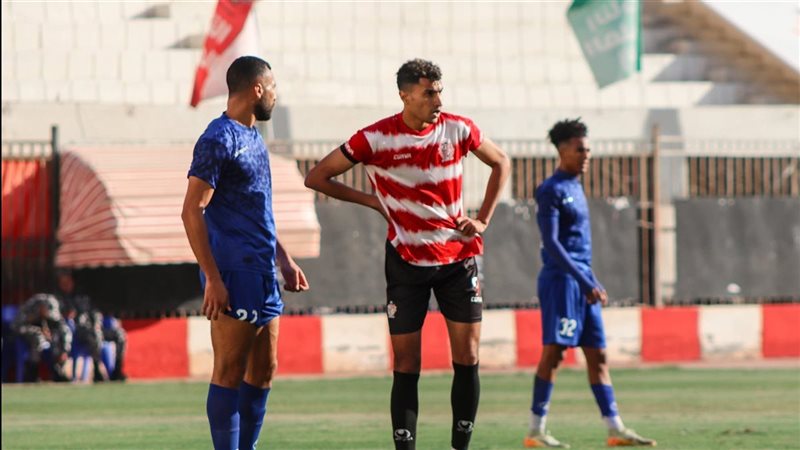 دوري المحترفين