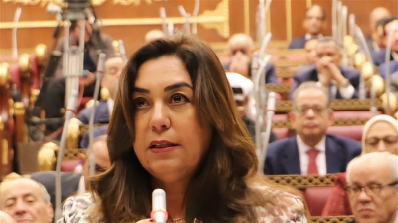 منال عوض، فيتو
