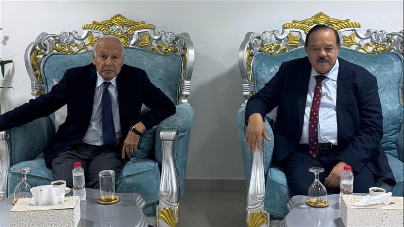أبو الغيط مع وزير