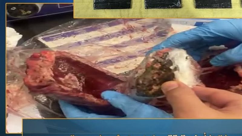 المضبوطات 