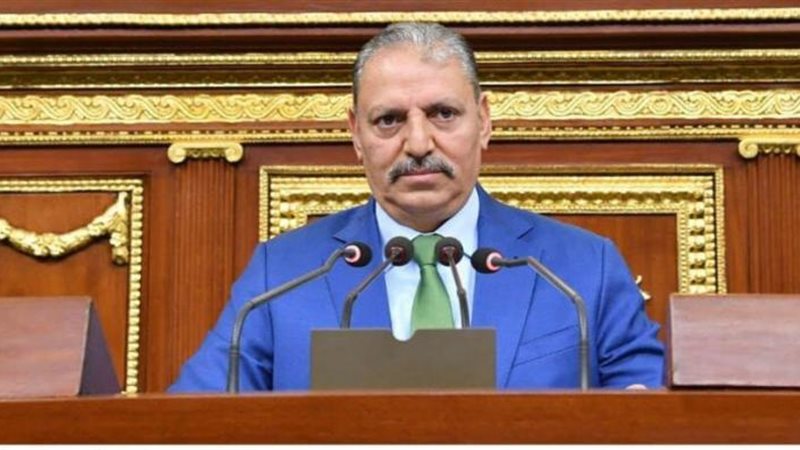 اللواء إبراهيم المصري