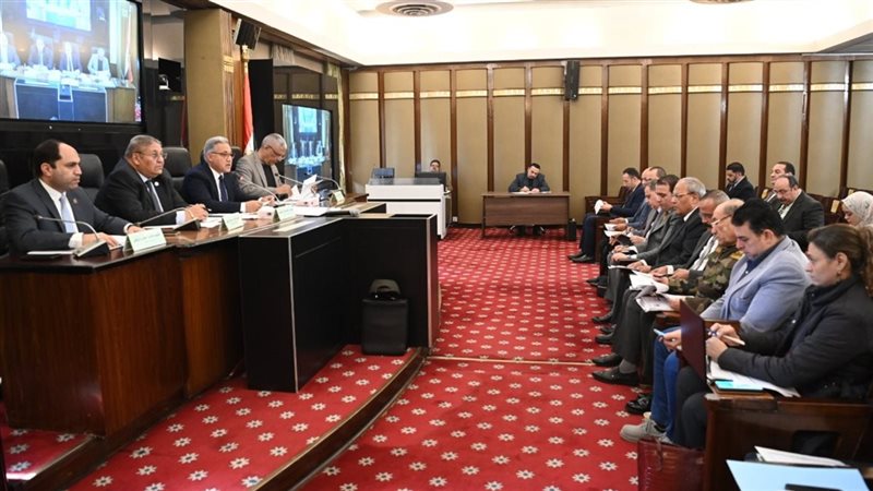 محلية البرلمان, فيتو