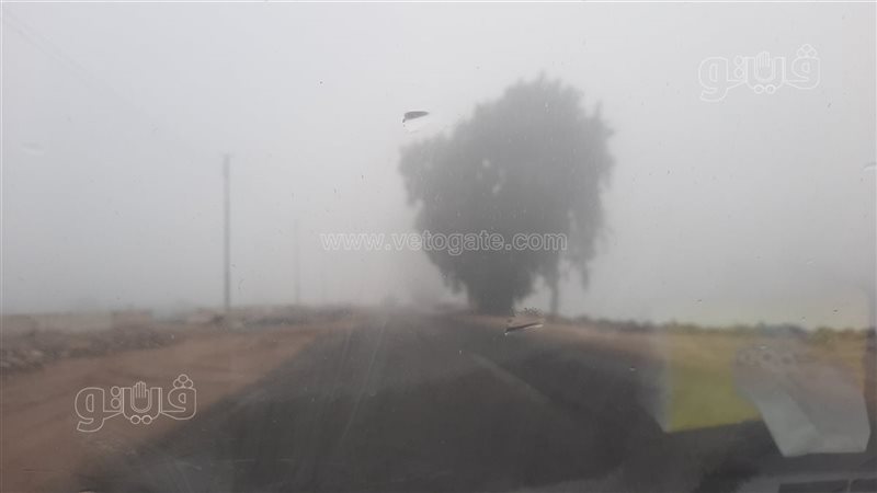 الشبورة المائية،فيتو