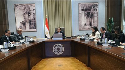 رئيس الوزراء يُتابع إجراءات طرح محطة جبل الزيت لتوليد الكهرباء من طاقة الرياح