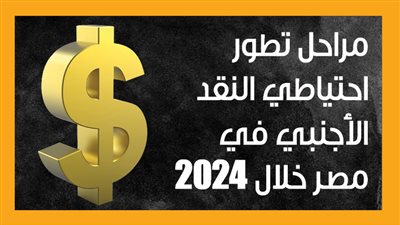 مراحل تطور احتياطي النقد الأجنبي في مصر خلال 2024 (إنفوجراف)