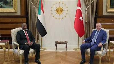 بعد الصومال وإثيوبيا، أردوغان يطرح على البرهان عرضا تركيًّا يخص السودان