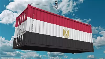 شعبة المستوردين: تحول نصف الخارجين من السوق الاستيرادي المصري إلى التصنيع