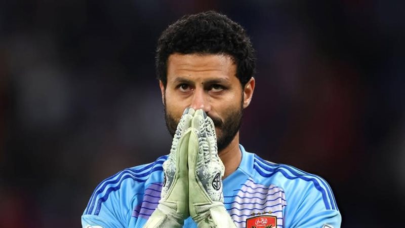 الشناوي، فيتو