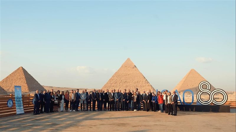  مجلس منظمة الطيران