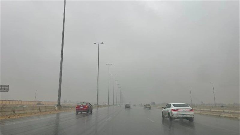 حالة الطقس، فيتو