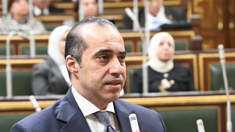المستشار محمود فوزي