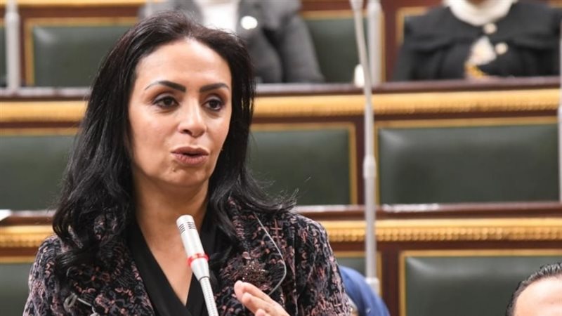 وزيرة التضامن الاجتماعي