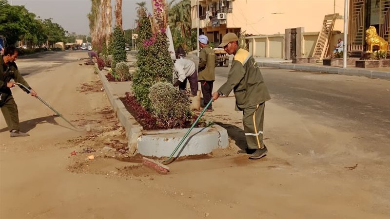 أثناء التشجير 
