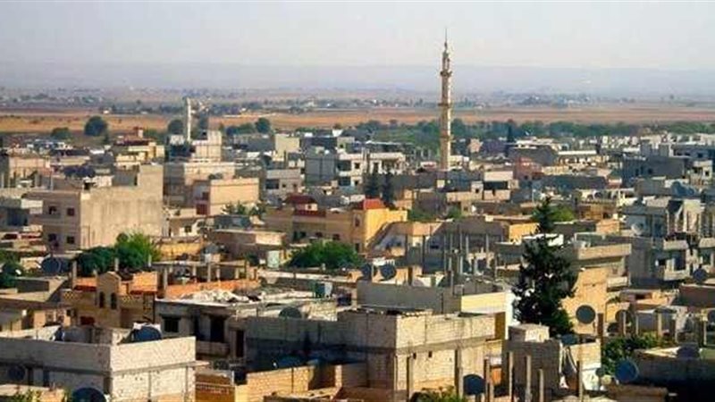 عين العرب ـ فيتو