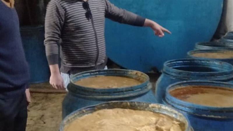 تموين الإسكندرية