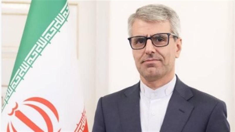 المتحدث باسم الخارجية