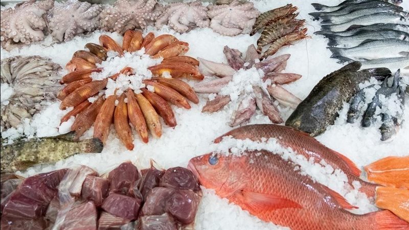 أسعار السمك اليوم،