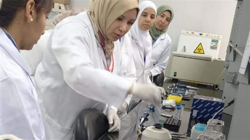 جانب من ورشة العمل،فيتو