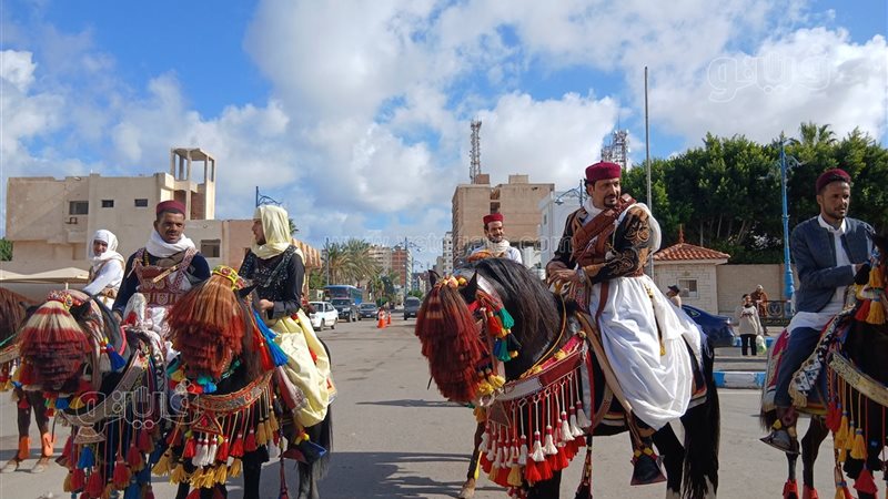 عروض فروسية في احتفالات