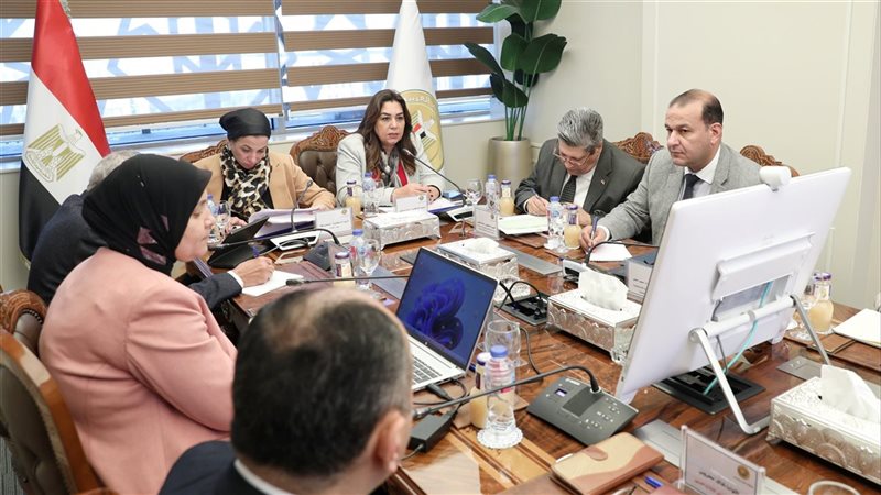 اجتماع وزيرتا التنمية