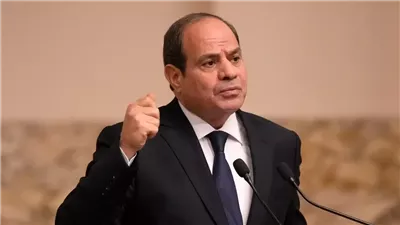 السيسي يحذر من استمرار الحرب الإسرائيلية ضد الفلسطينيين وامتداد الصراع واشتعال المنطقة
