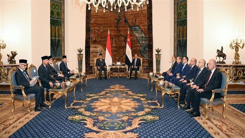 المباحثات المصرية