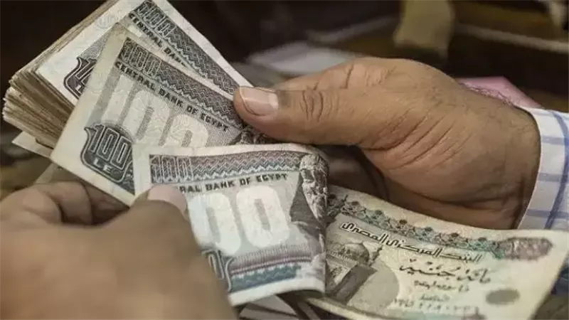 المساعدات الاستثنائية،