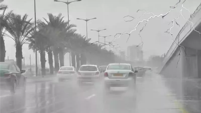 فصل الشتاء، فيتو