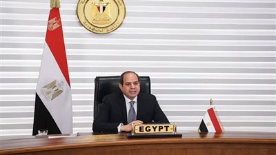 السيسي يؤكد لأردوغان ضرورة الحفاظ على وحدة واستقلال سوريا وتدشين عملية سياسية