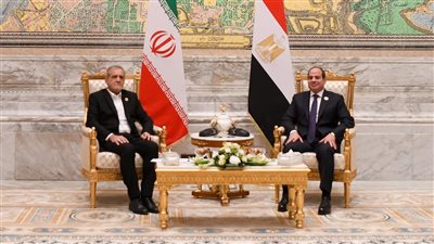 قمة مصرية إيرانية، السيسي يؤكد أهمية نزع فتيل التوتر الإقليمي وتحلي كافة الأطراف بالحكمة