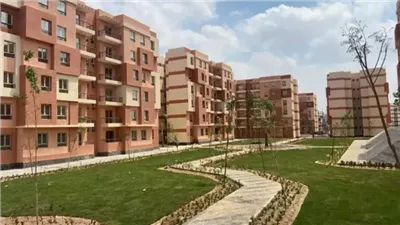  معلومات الوزراء يرصد تفاصيل مبادرة بيتك في مصر (إنفوجراف)