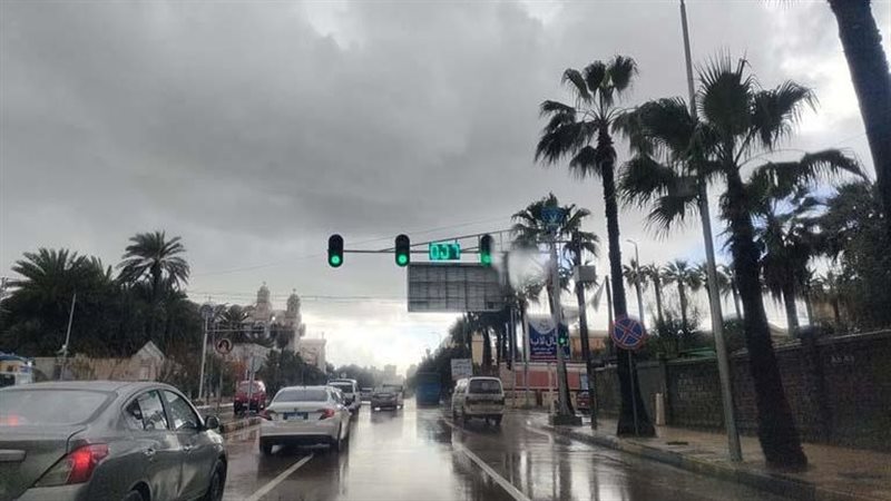 حالة الطقس غدا، فيتو