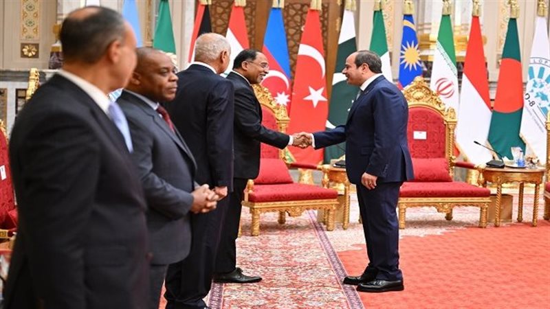 نشاط السيسي في قمة