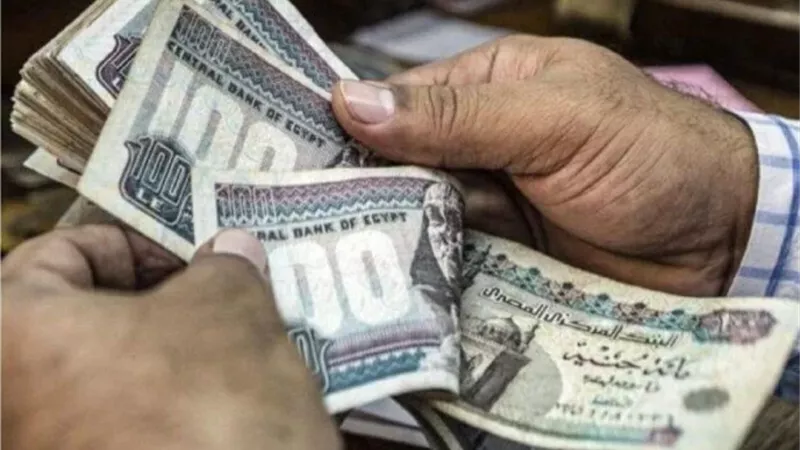 مرتبات ديسمبر 