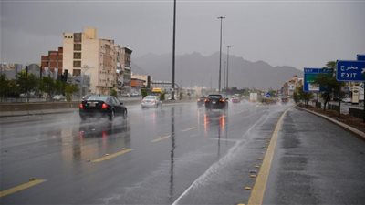 درجات الحرارة اليوم السبت 04-01-2025 في مصر