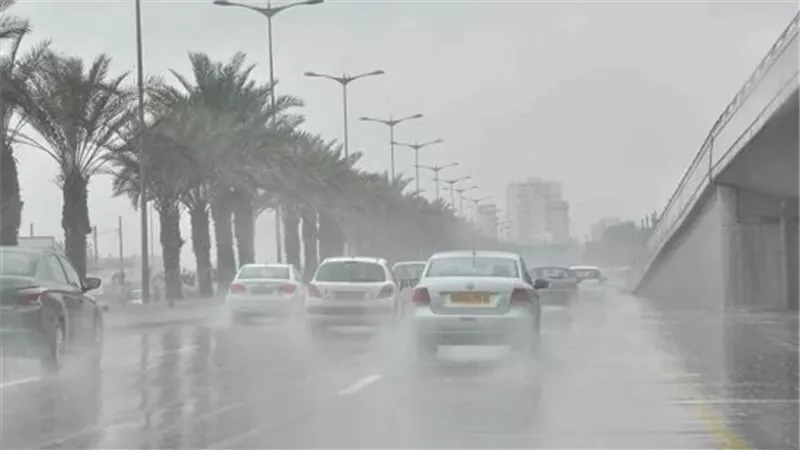 حالة الطقس غدا، فيتو