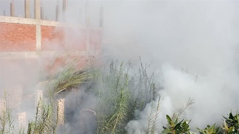 حريق في بوص مجاور