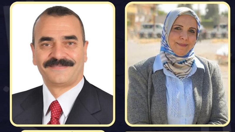 حركة المحليات بالإسكندرية،