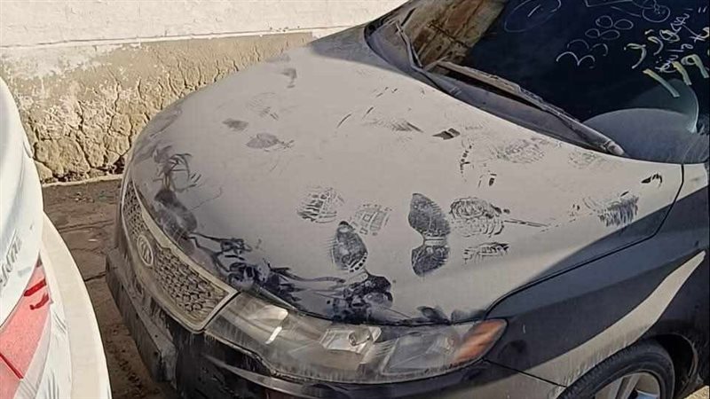 سيارات، فيتو