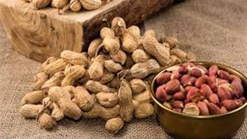 تفسير رؤية الفول