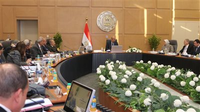 رئيس القابضة للكهرباء: تنفيذ استثمارات بـ 18.29 مليون جنيه خلال 2024