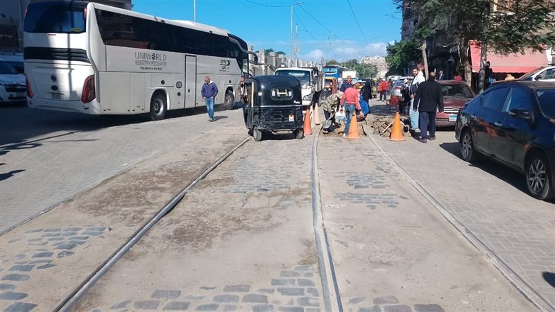 الإسكندرية, فيتو